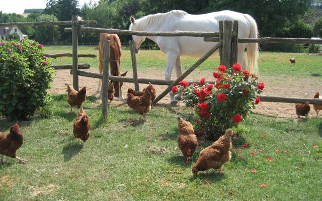 Le Ferme au Colombier
