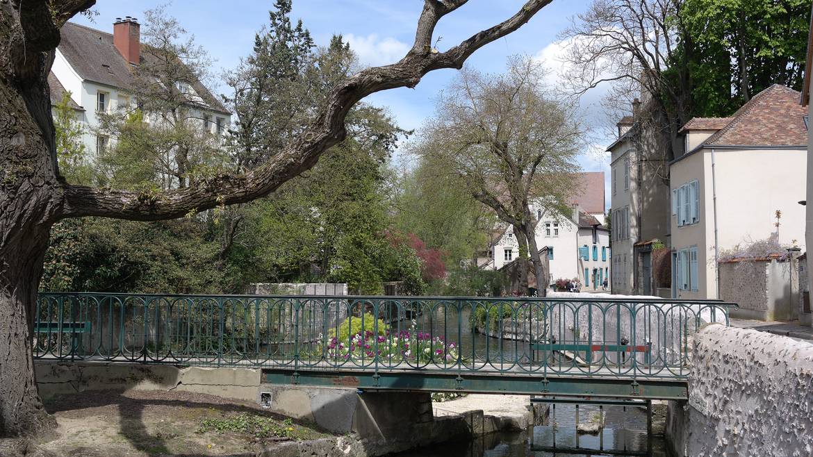 A la découverte de la cité médiévale