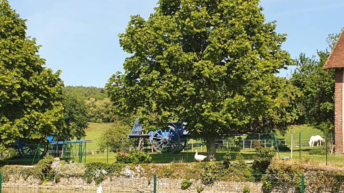 Temps libre à la découverte du domaine et ses animaux