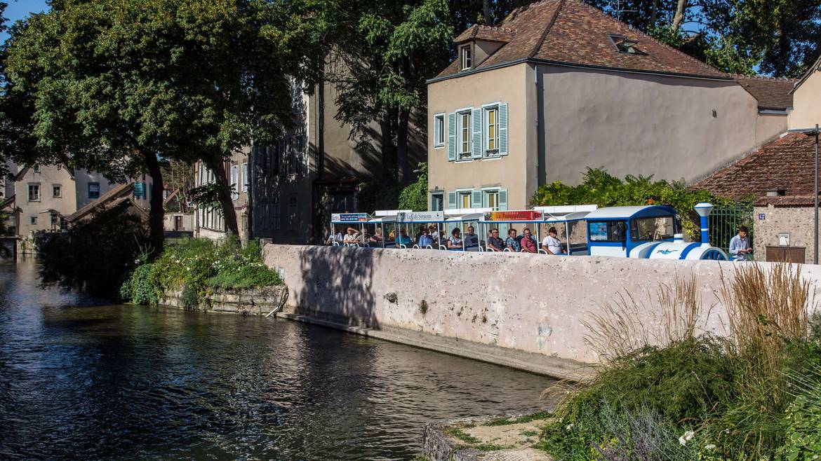 A la découverte de la cité médiévale